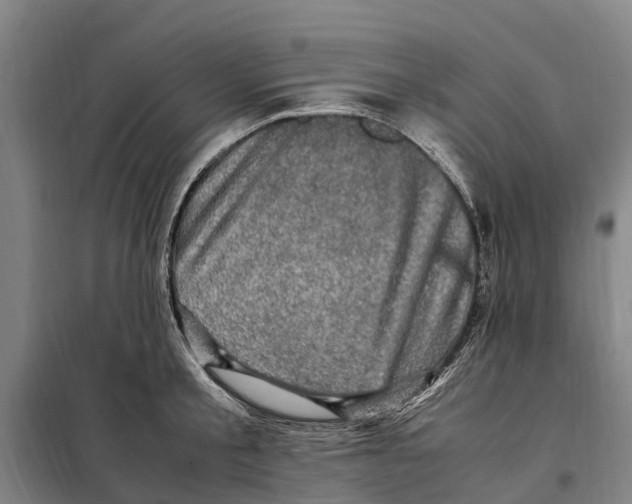X0000098000805200804211129