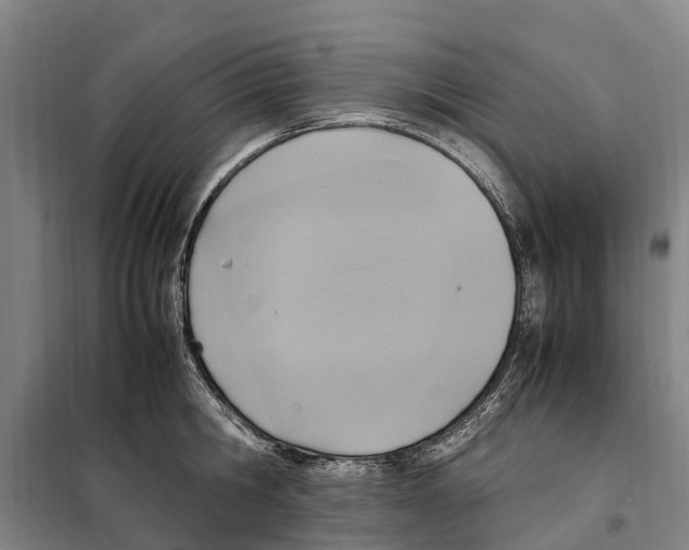 X0000098000806200804211129