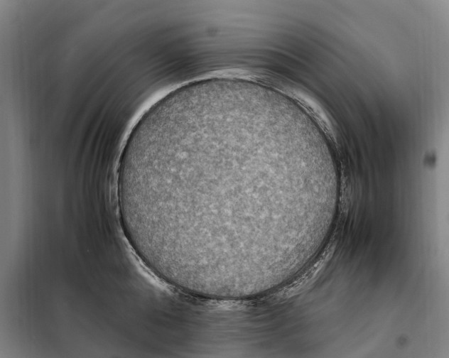 X0000098000808200804211129