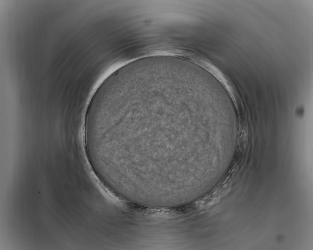 X0000098000811200804211129