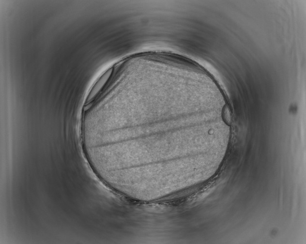 X0000098000815200804211129