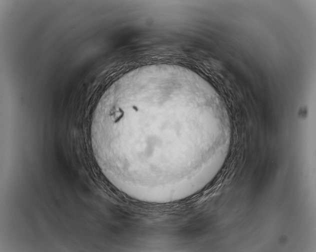 X0000098000820200804211128