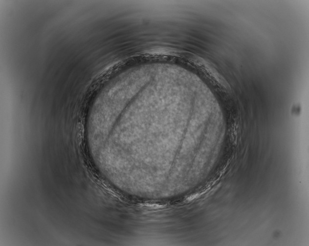 X0000098000821200804211128
