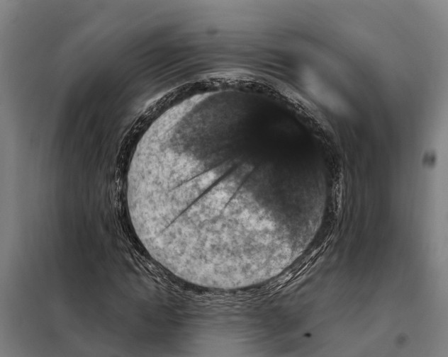 X0000098000822200804211128