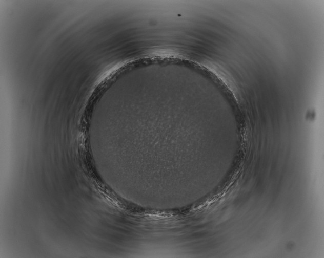X0000098000823200804211129