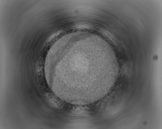 X0000098000824200804211129