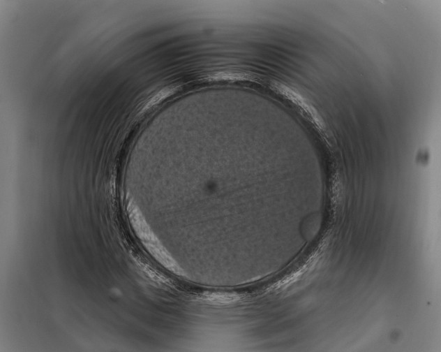 X0000098000825200804211129