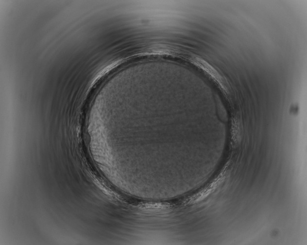 X0000098000826200804211129