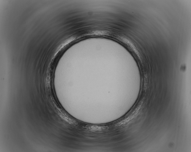 X0000098000827200804211129
