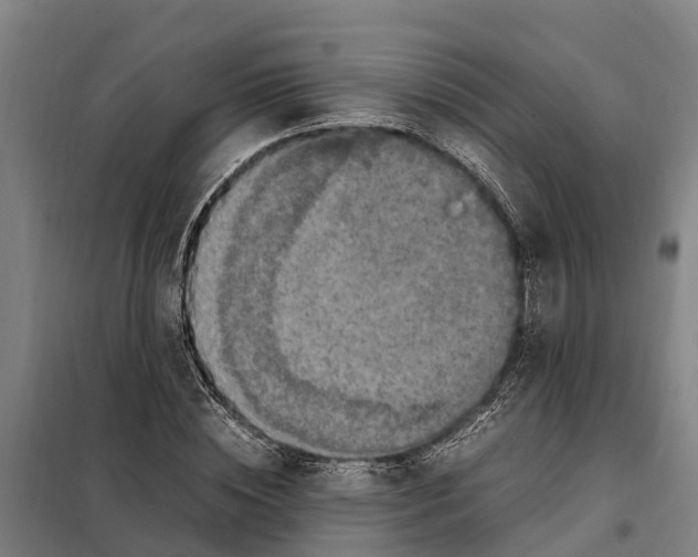 X0000098000828200804211129