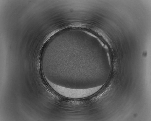 X0000098000829200804211129