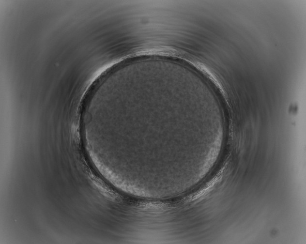 X0000098000830200804211129