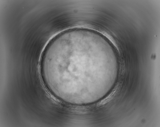 X0000098000832200804211129