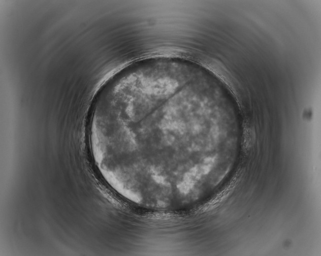 X0000098000834200804211129