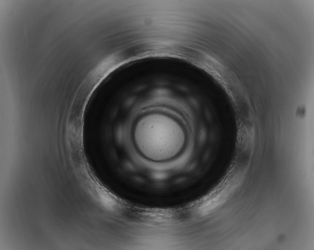 X0000098000836200804211129