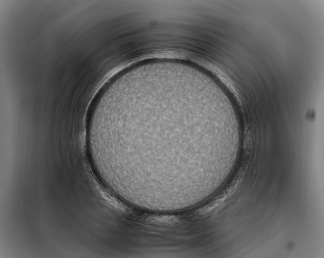 X0000098000837200804211129
