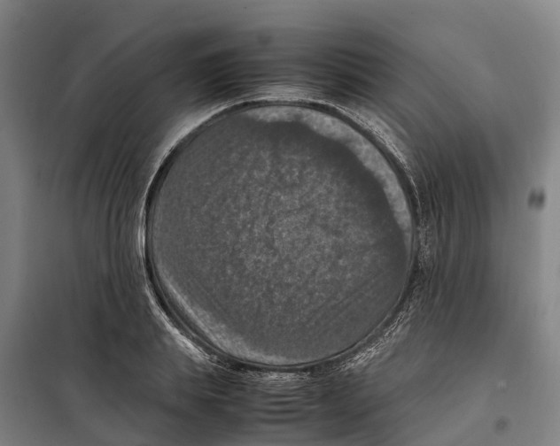 X0000098000839200804211129