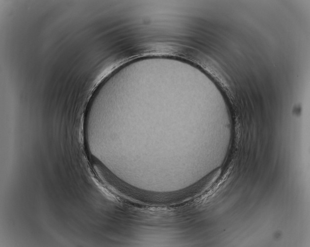 X0000098000842200804211129