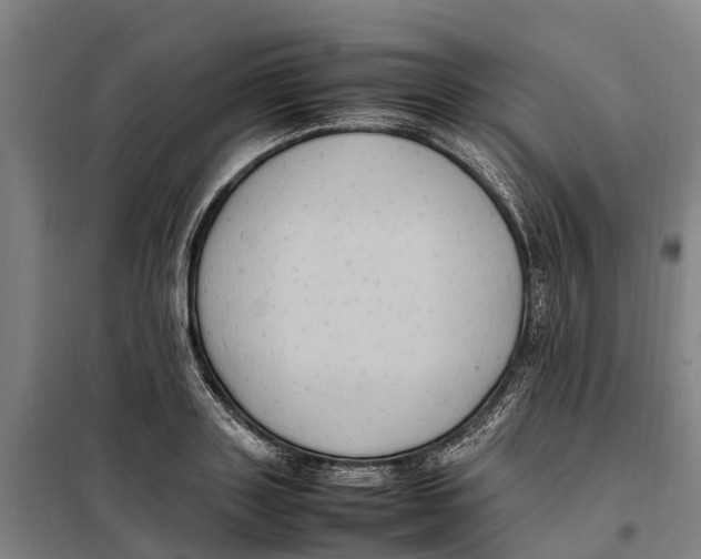 X0000098000843200804211129