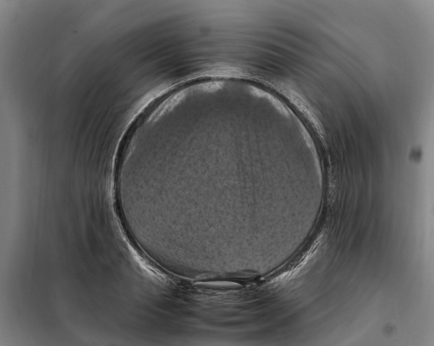X0000098000845200804211129