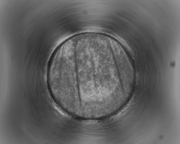 X0000098000846200804211129