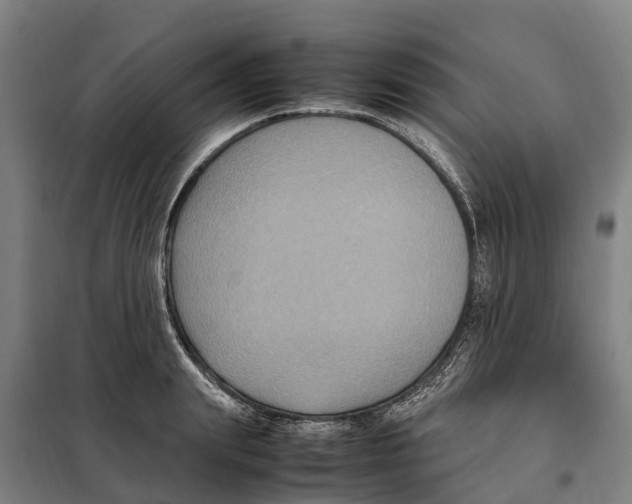 X0000098000847200804211129