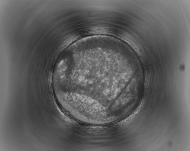 X0000098000849200804211129