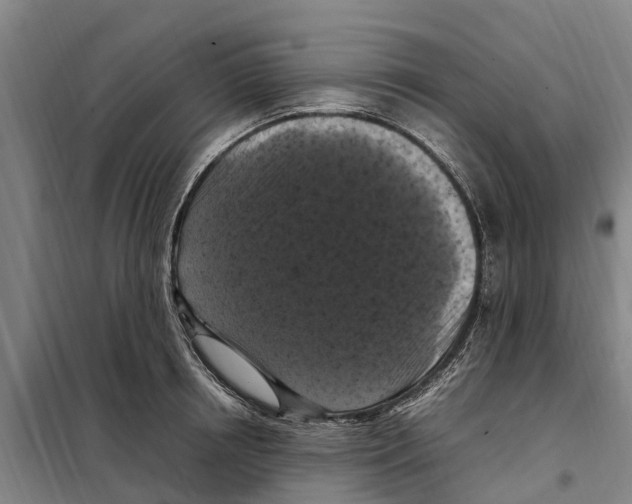 X0000098000850200804211129