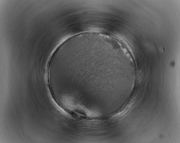 X0000098000851200804211129