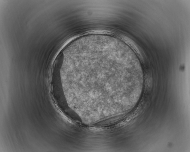 X0000098000852200804211129