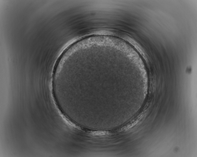 X0000098000853200804211129