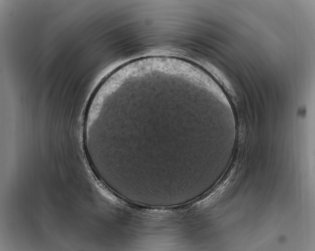 X0000098000854200804211129