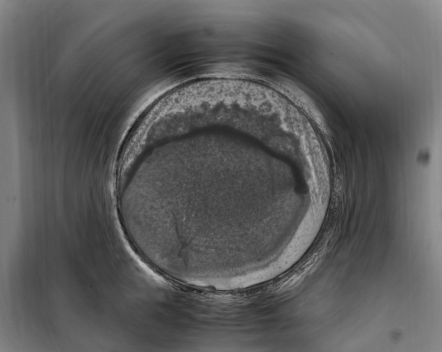 X0000098000855200804211129