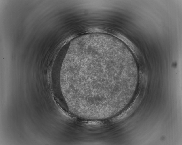 X0000098000857200804211129