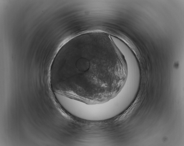 X0000098000858200804211129
