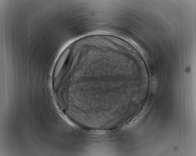 X0000098000862200804211129