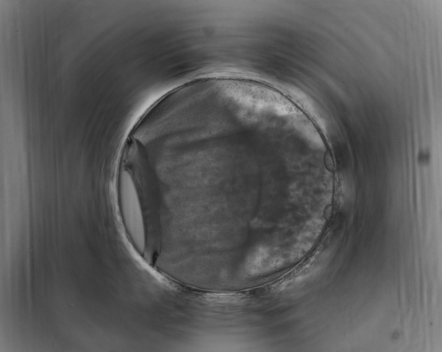 X0000098000863200804211129