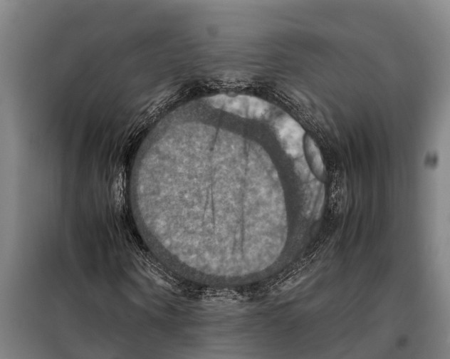 X0000098000866200804211128