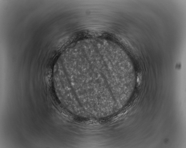 X0000098000867200804211128