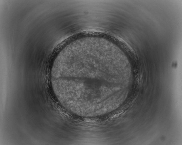X0000098000870200804211128