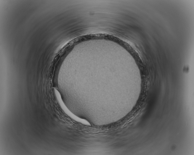 X0000098000871200804211128