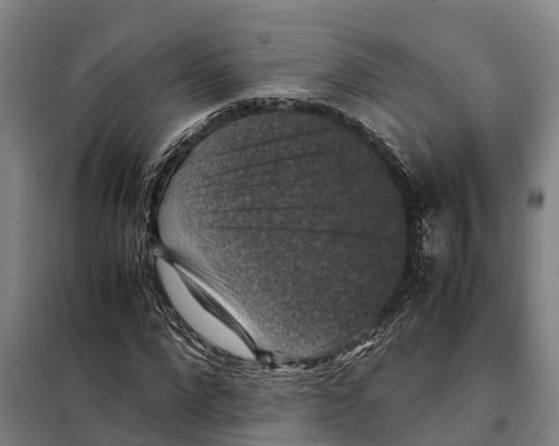 X0000098000872200804211128