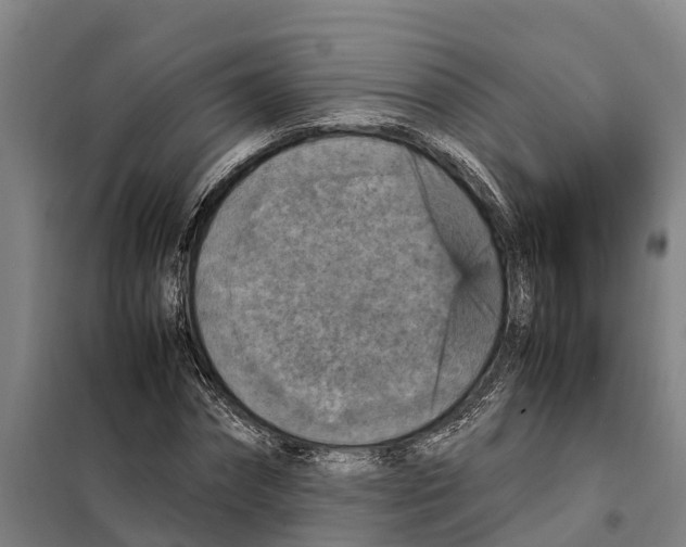 X0000098000874200804211128