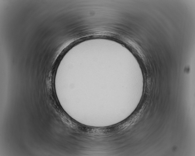 X0000098000875200804211128