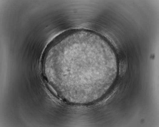 X0000098000876200804211128