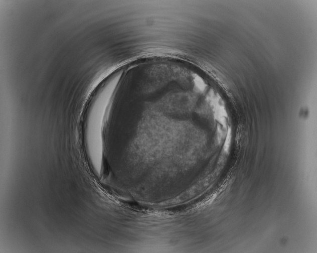 X0000098000877200804211128
