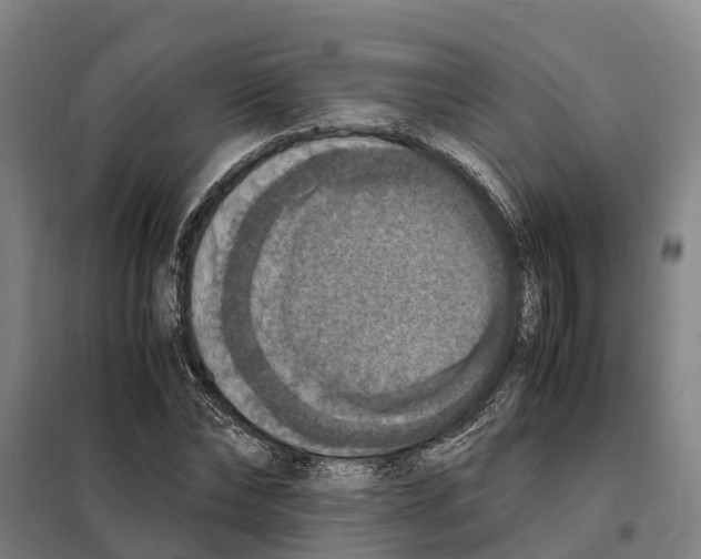 X0000098000878200804211128