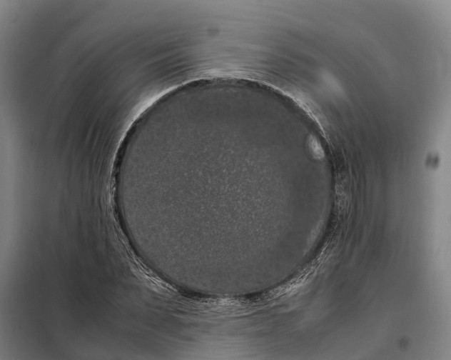 X0000098000879200804211128