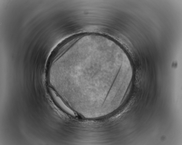 X0000098000880200804211128