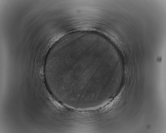 X0000098000881200804211128